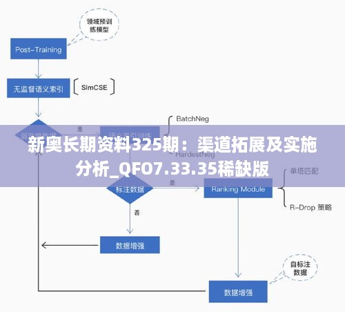 新奥长期资料325期：渠道拓展及实施分析_QFO7.33.35稀缺版