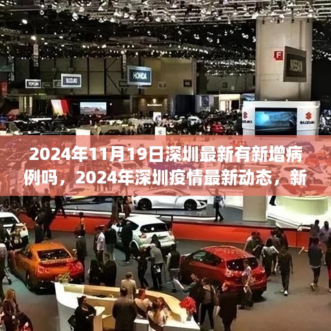 2024年11月深圳疫情最新动态，新增病例分析与评估