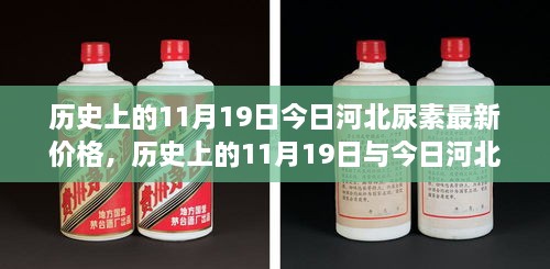 历史上的11月19日与今日河北尿素价格概览，最新价格动态分析