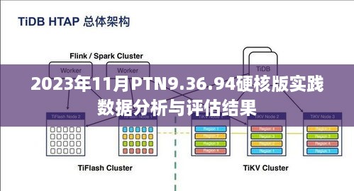 2023年11月PTN9.36.94硬核版实践数据分析与评估结果