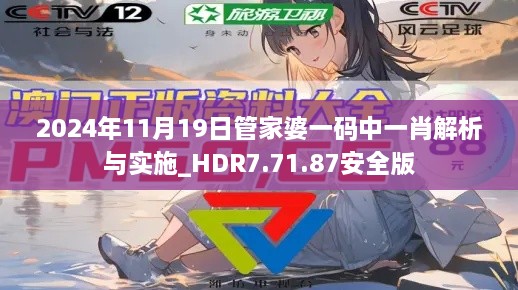 2024年11月19日管家婆一码中一肖解析与实施_HDR7.71.87安全版