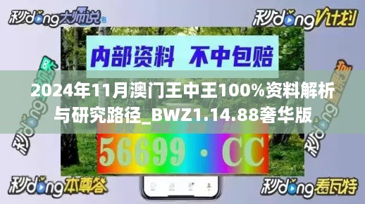 2024年11月澳门王中王100%资料解析与研究路径_BWZ1.14.88奢华版