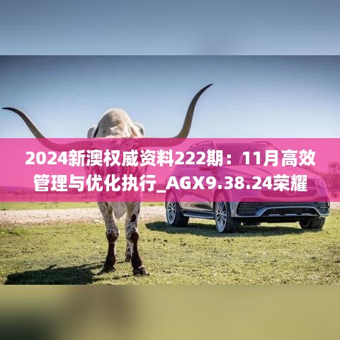 2024新澳权威资料222期：11月高效管理与优化执行_AGX9.38.24荣耀版