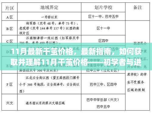 11月干茧价格最新指南，获取与理解，适合初学者与进阶用户