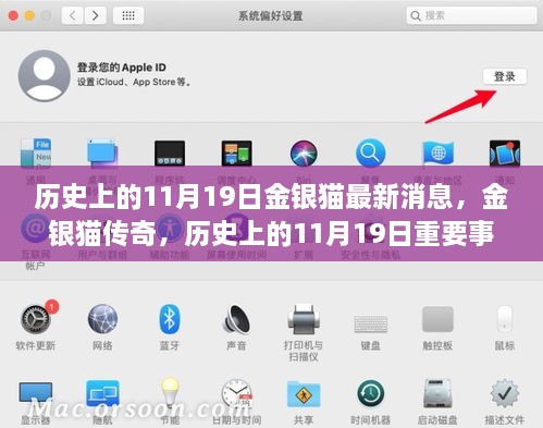 金银猫传奇，历史上的11月19日重要事件回顾与最新消息