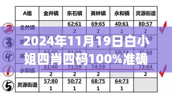 2024年11月19日白小姐四肖四码100%准确评估解析_HQJ9.52.69流线型版