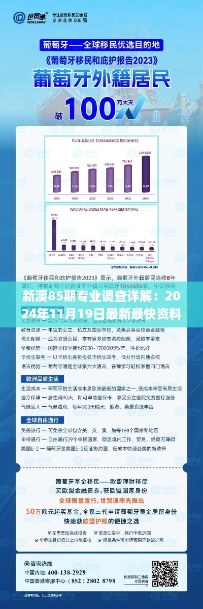 新澳85期专业调查详解：2024年11月19日最新最快资料_IOF8.79.82供给版