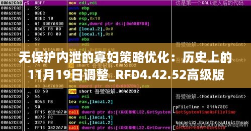 无保护内泄的寡妇策略优化：历史上的11月19日调整_RFD4.42.52高级版