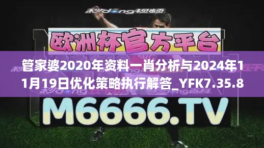 管家婆2020年资料一肖分析与2024年11月19日优化策略执行解答_YFK7.35.88轻奢版