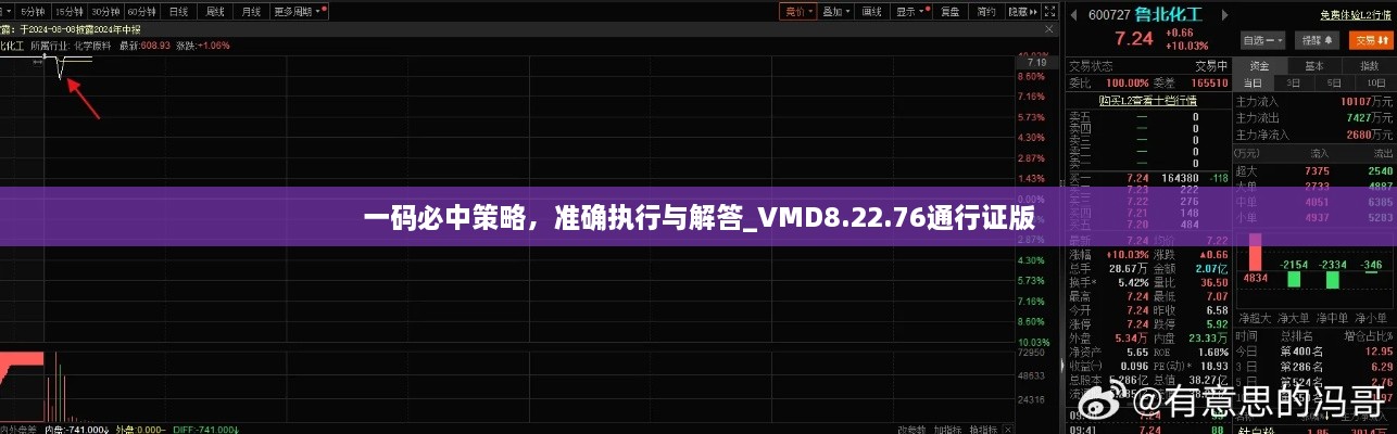 一码必中策略，准确执行与解答_VMD8.22.76通行证版