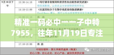 精准一码必中一一子中特7955，往年11月19日专注执行解答解析_HOO3.46.71实用版