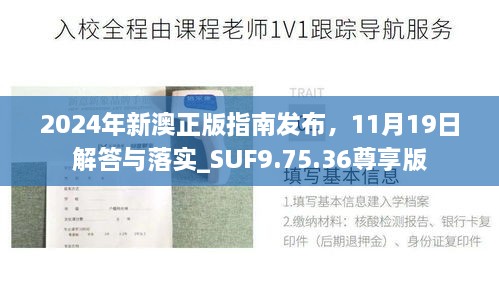 2024年新澳正版指南发布，11月19日解答与落实_SUF9.75.36尊享版