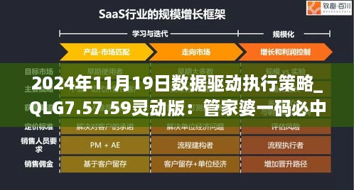 2024年11月19日数据驱动执行策略_QLG7.57.59灵动版：管家婆一码必中