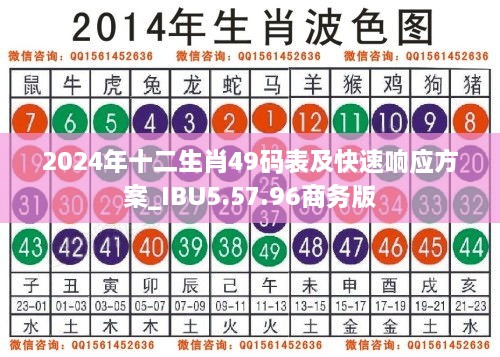 2024年十二生肖49码表及快速响应方案_IBU5.57.96商务版