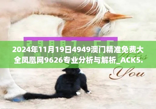 2024年11月19日4949澳门精准免费大全凤凰网9626专业分析与解析_ACK5.77.53数字版