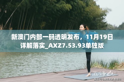 新澳门内部一码透明发布，11月19日详解落实_AXZ7.53.93单独版