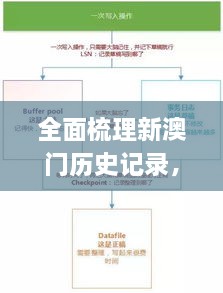 全面梳理新澳门历史记录，11月19日深入剖析设计数据_TPN5.53.76创业板