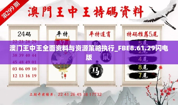 澳门王中王全面资料与资源策略执行_FBE8.61.29闪电版