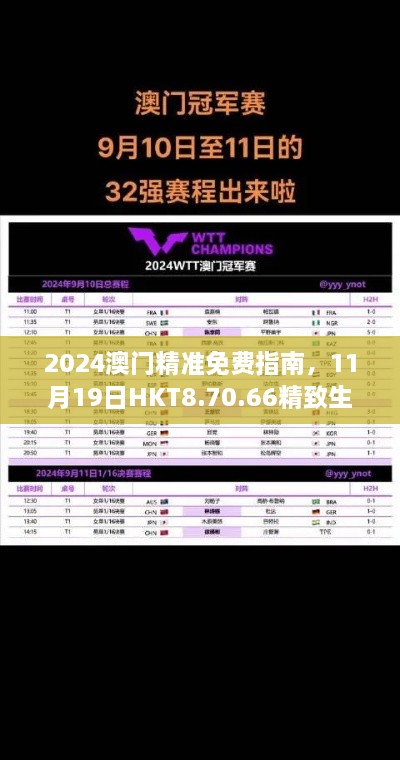 2024澳门精准免费指南，11月19日HKT8.70.66精致生活版解答解析