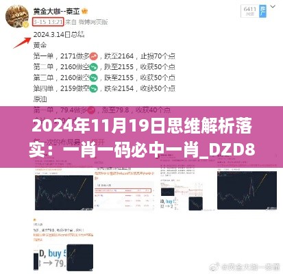 2024年11月19日思维解析落实：一肖一码必中一肖_DZD8.73.41优化版