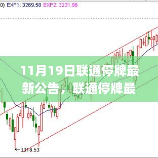 联通停牌最新公告解读与应对指南，从初学者到进阶用户的详细步骤及应对策略