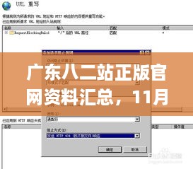 广东八二站正版官网资料汇总，11月解决方案解析_WUI3.55.71挑战版