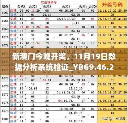 新澳门今晚开奖，11月19日数据分析系统验证_YBG9.46.29云技术版