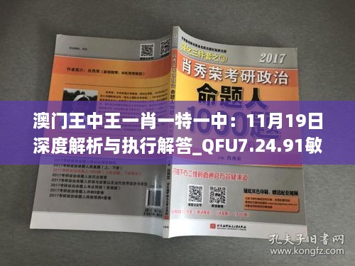 澳门王中王一肖一特一中：11月19日深度解析与执行解答_QFU7.24.91敏捷版