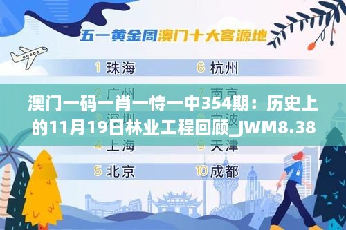 澳门一码一肖一恃一中354期：历史上的11月19日林业工程回顾_JWM8.38.55超凡版