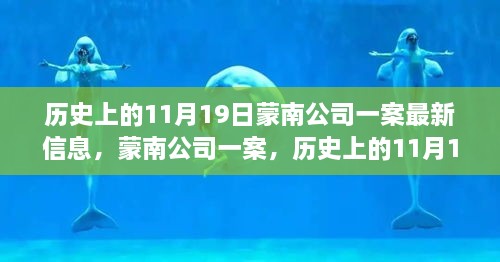 蒙南公司一案最新进展解读，历史上的11月19日全面回顾与最新信息揭秘