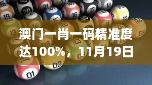 澳门一肖一码精准度达100%，11月19日机械_MTT6.63.32高级版