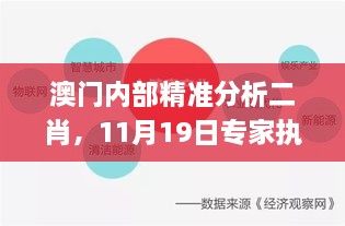 澳门内部精准分析二肖，11月19日专家执行解读_OZO2.28.28运动版