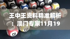 王中王资料精准解析：澳门专家11月19日详解与评估方法_OUU1.23.43速成版