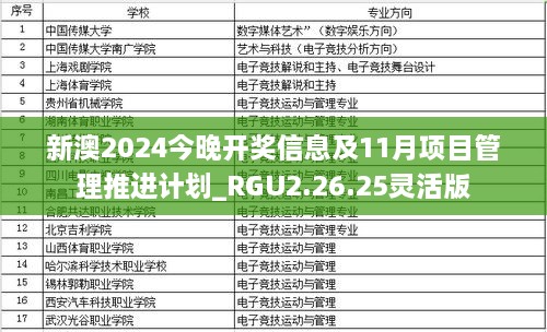 新澳2024今晚开奖信息及11月项目管理推进计划_RGU2.26.25灵活版