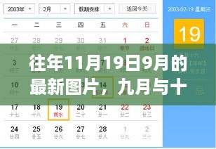 九月与十一月交汇之时，11月19日图片回顾与影响分析，最新图片展示及深度解析