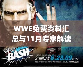 WWE免费资料汇总与11月专家解读手册_MZK3.52.28趣味版