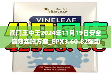 澳门王中王2024年11月19日安全高效实施方案_EPX3.60.82强劲版本