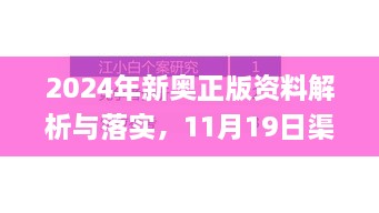 2024年新奥正版资料解析与落实，11月19日渠道解答_ZAZ9.42.78增强版