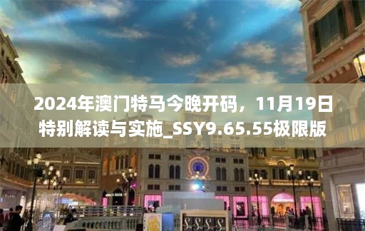 2024年澳门特马今晚开码，11月19日特别解读与实施_SSY9.65.55极限版