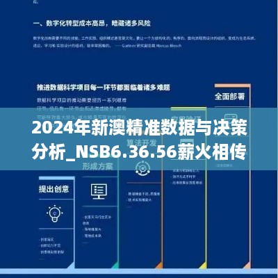 2024年新澳精准数据与决策分析_NSB6.36.56薪火相传版