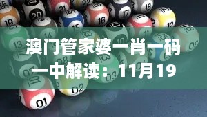 澳门管家婆一肖一码一中解读：11月19日权威解析_EMZ6.43.89互动版