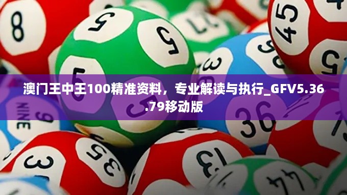 澳门王中王100精准资料，专业解读与执行_GFV5.36.79移动版