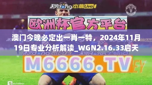 澳门今晚必定出一肖一特，2024年11月19日专业分析解读_WGN2.16.33启天境