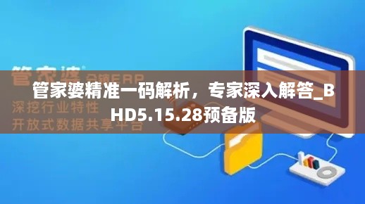 管家婆精准一码解析，专家深入解答_BHD5.15.28预备版