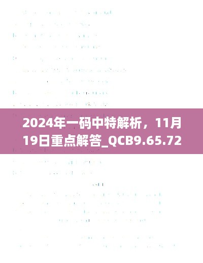 2024年一码中特解析，11月19日重点解答_QCB9.65.72触控版