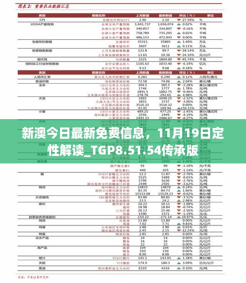 新澳今日最新免费信息，11月19日定性解读_TGP8.51.54传承版