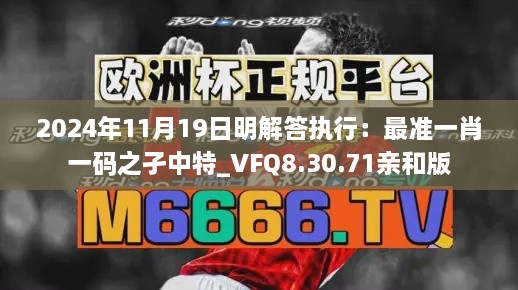 2024年11月19日明解答执行：最准一肖一码之孑中特_VFQ8.30.71亲和版