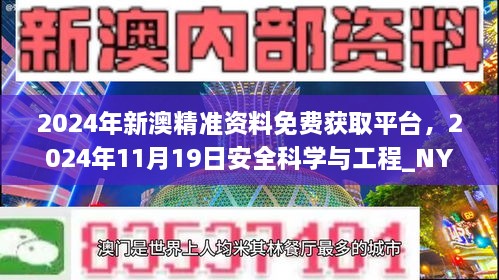 2024年新澳精准资料免费获取平台，2024年11月19日安全科学与工程_NYU6.29.49版本