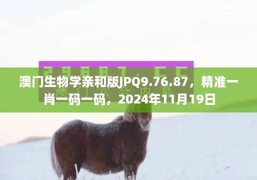 澳门生物学亲和版JPQ9.76.87，精准一肖一码一码，2024年11月19日