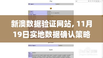 新澳数据验证网站, 11月19日实地数据确认策略_VYU7.41.84内置版本